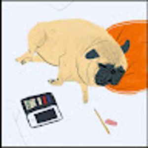 Meet your Posher, Molly